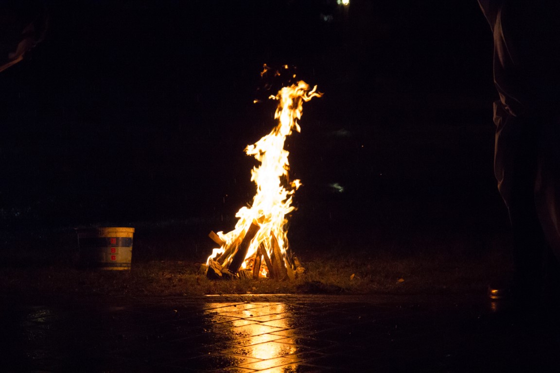 IMG_2650