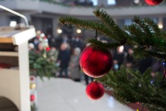IMG_8727
