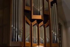 IMG_8867