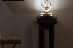 IMG_8874