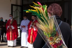 IMG_9366
